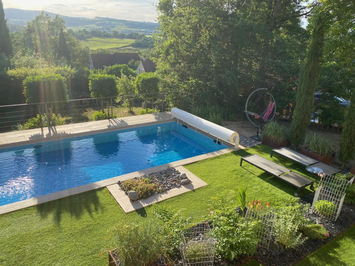 La Ronde Des Bois - Romance Et Bien Etre - Jacuzzi Privatif-Piscine-Patio Mellecey المظهر الخارجي الصورة
